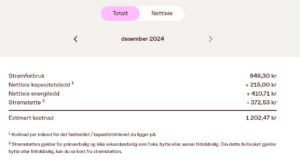 Strømregningen desember 472375237_10228135479157864_947004951436138602_n